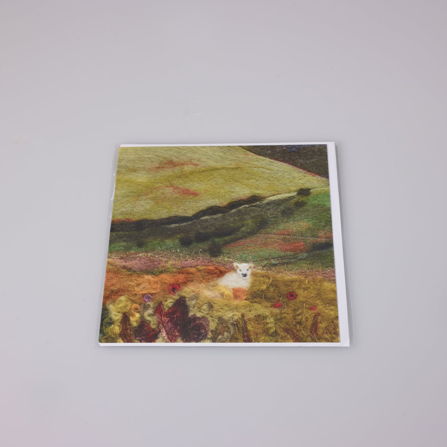 Card - Peek a boo. Ann Smith