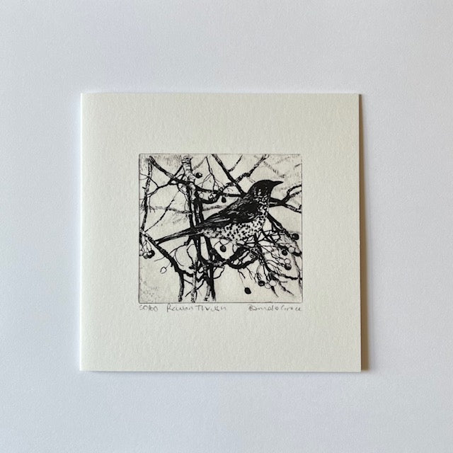 Card - Rowan Thrush. Pamela Grace