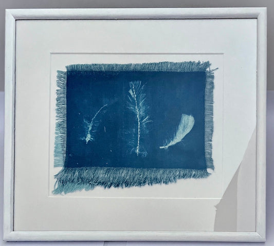 Original Cyanotype "3 Argentinian Feathers" by Catriona Alison Orr