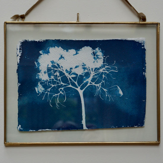 <p>Original Hydrangea Cyanotype photogram print on hand made khadi paper.</p> <p>Presented in a beautiful brass and glass frame with velvet hanging ribbon.</p>