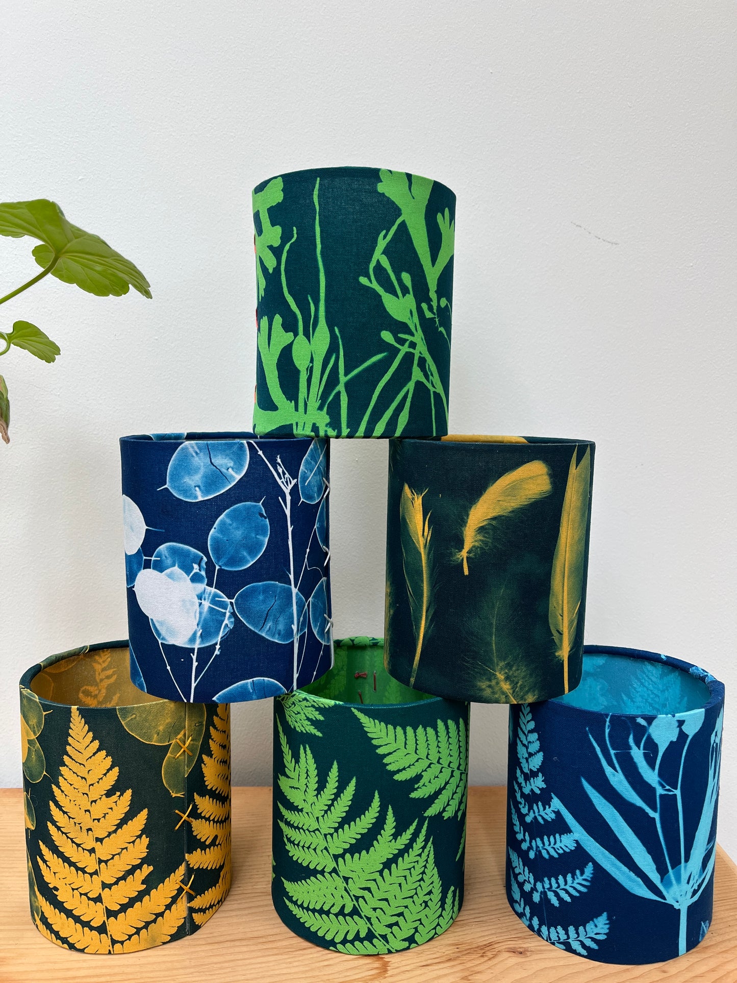 Lantern- Fern Medley
