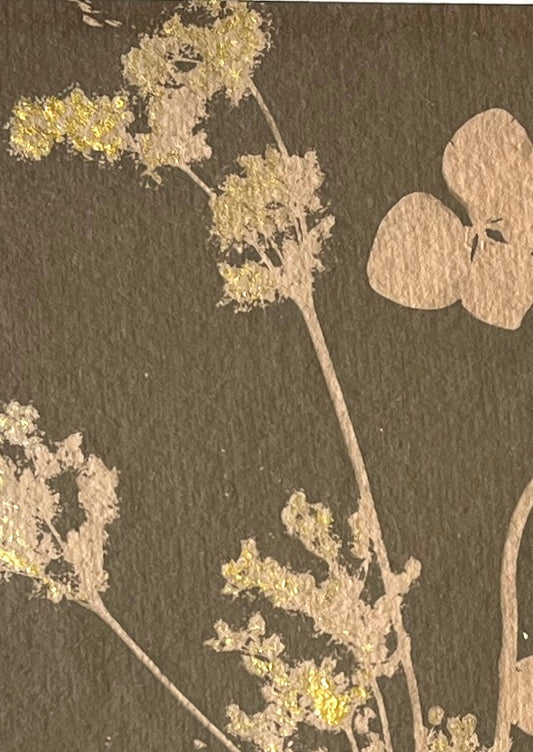 "Hydrangea Toned Cyanotype- Sepia" Framed in Oak