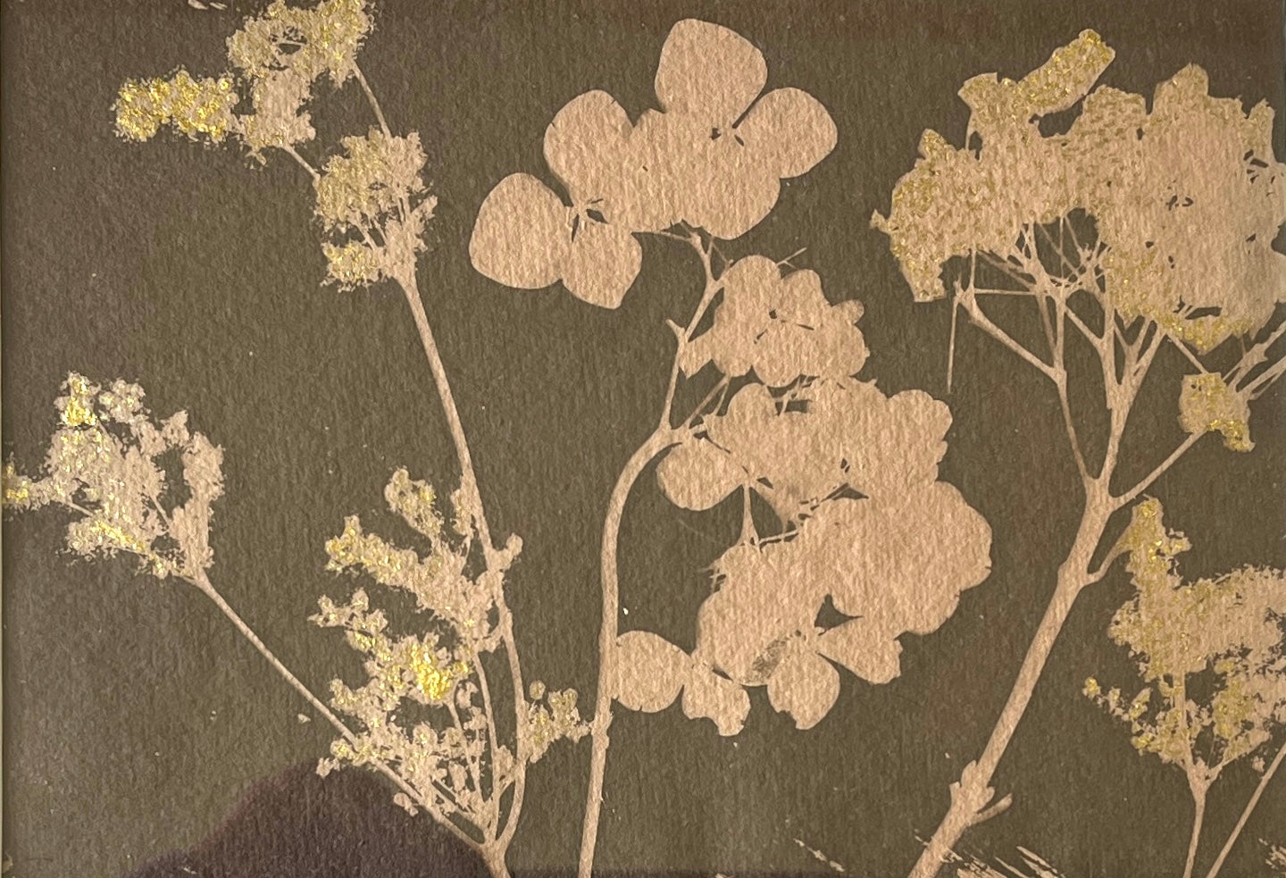 "Hydrangea Toned Cyanotype- Sepia" Framed in Oak