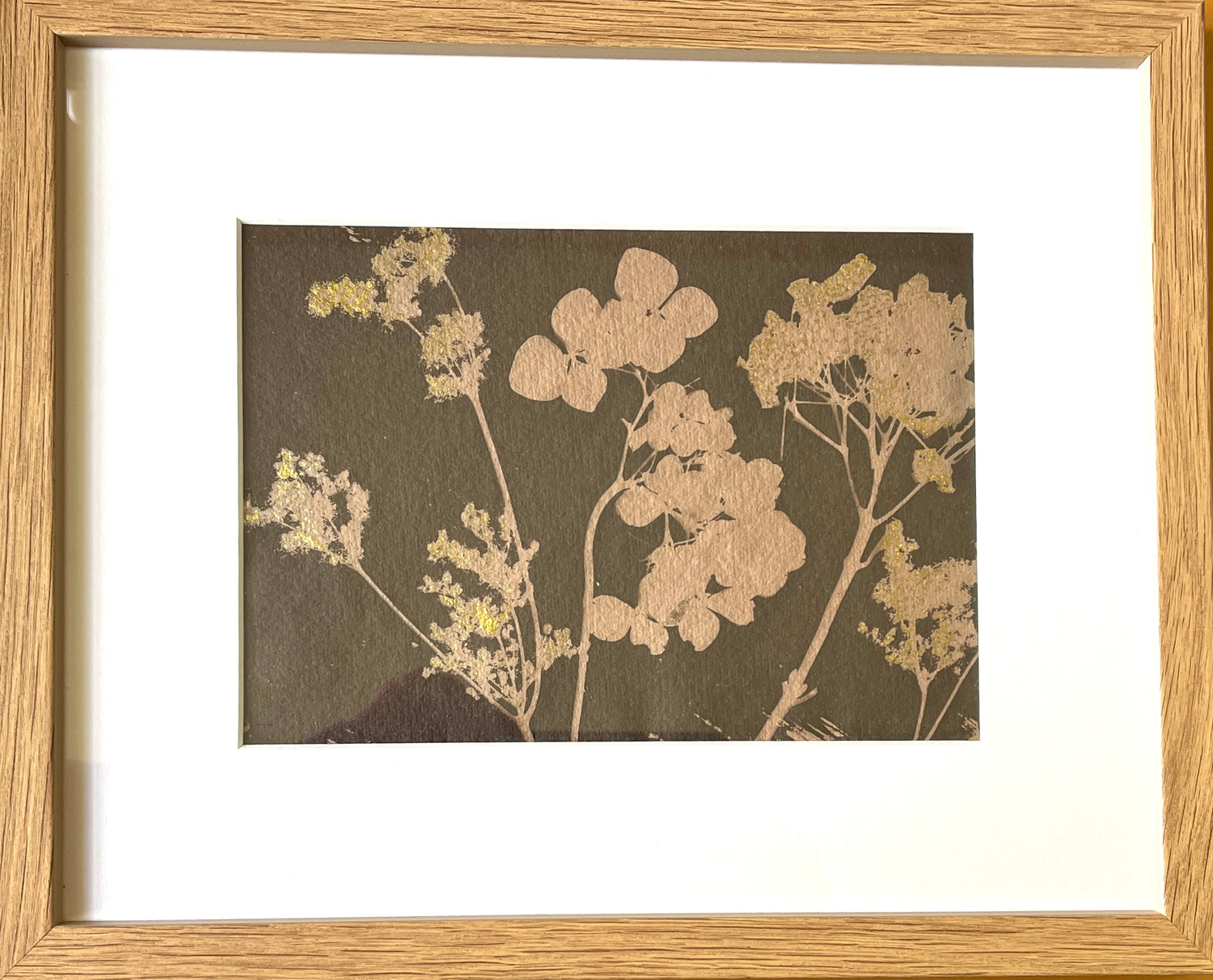 Sepia toned Cyanotype of Hydrangeas by Catriona Alison Orr