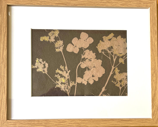 Sepia toned Cyanotype of Hydrangeas by Catriona Alison Orr