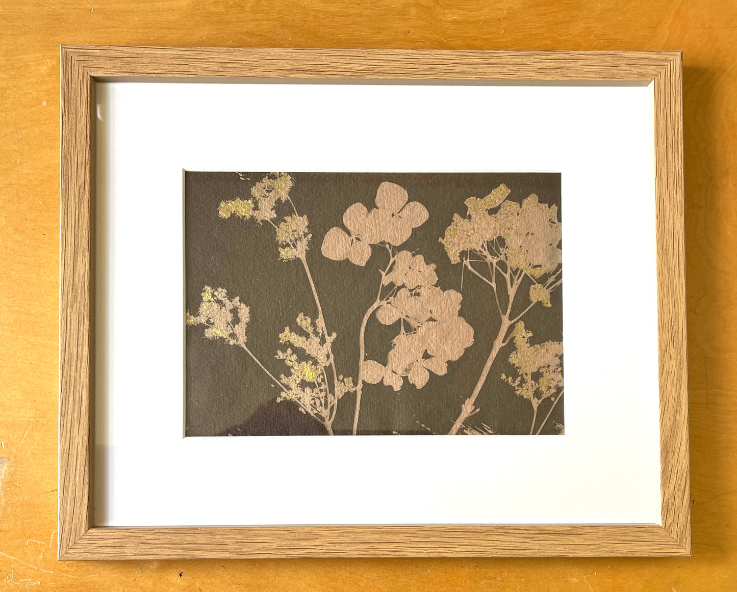 "Hydrangea Toned Cyanotype- Sepia" Framed in Oak