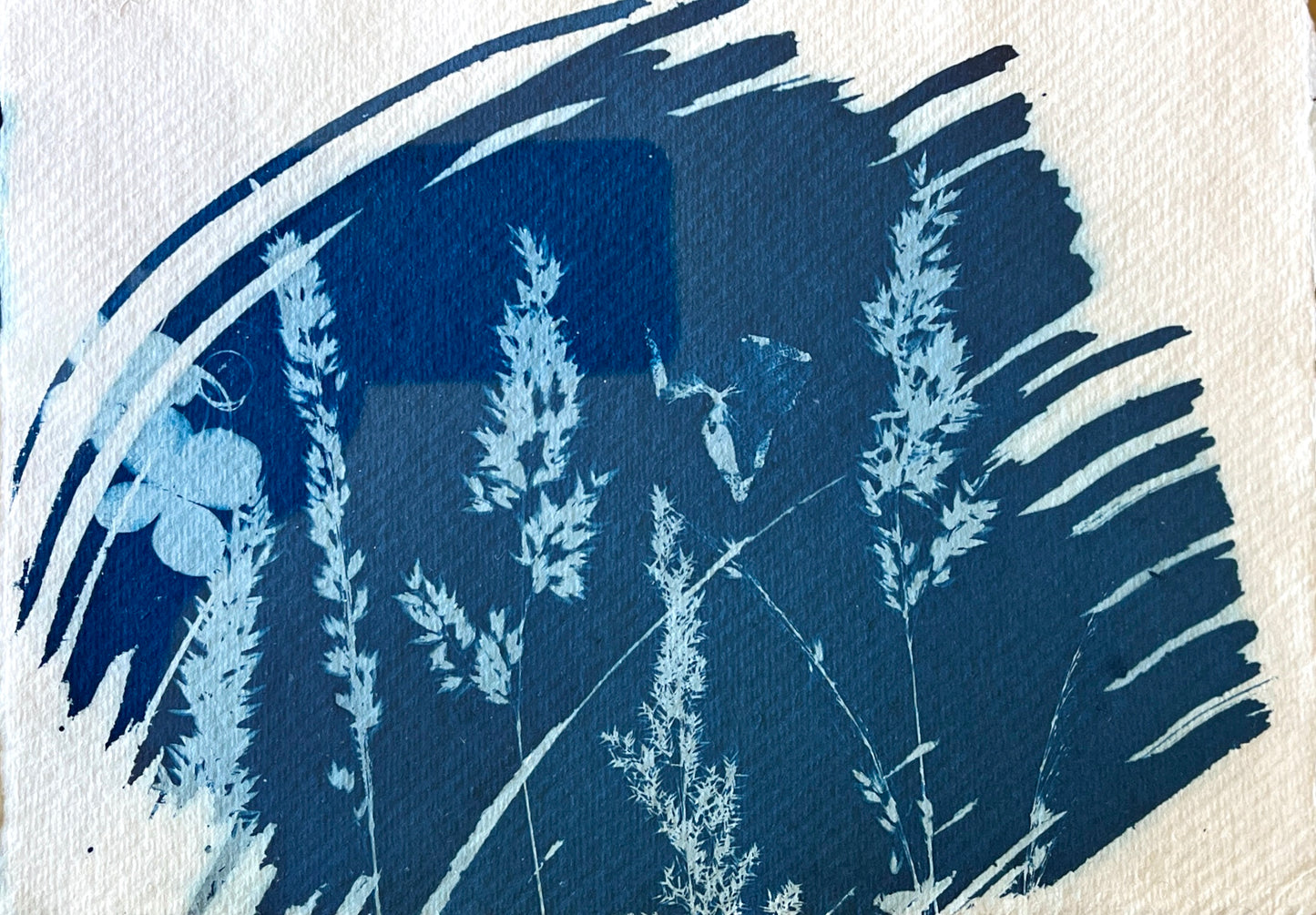 "Breezy Grasses" Original Cyanotype in Brass Frame