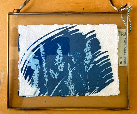Grasses original Cyanotype by Catriona Alison Orr