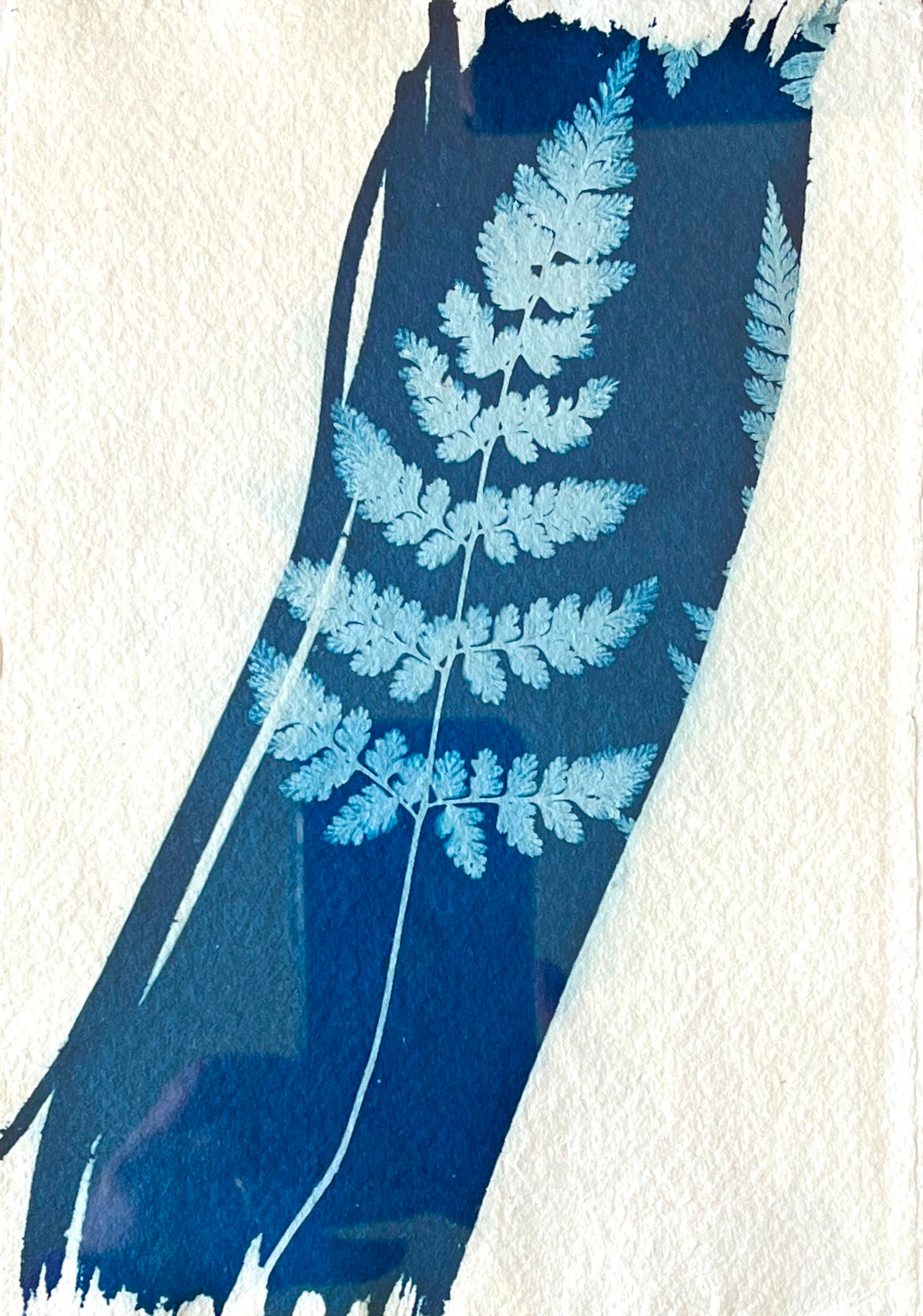 "Graphic Fern" Original Cyanotype in Brass Frame