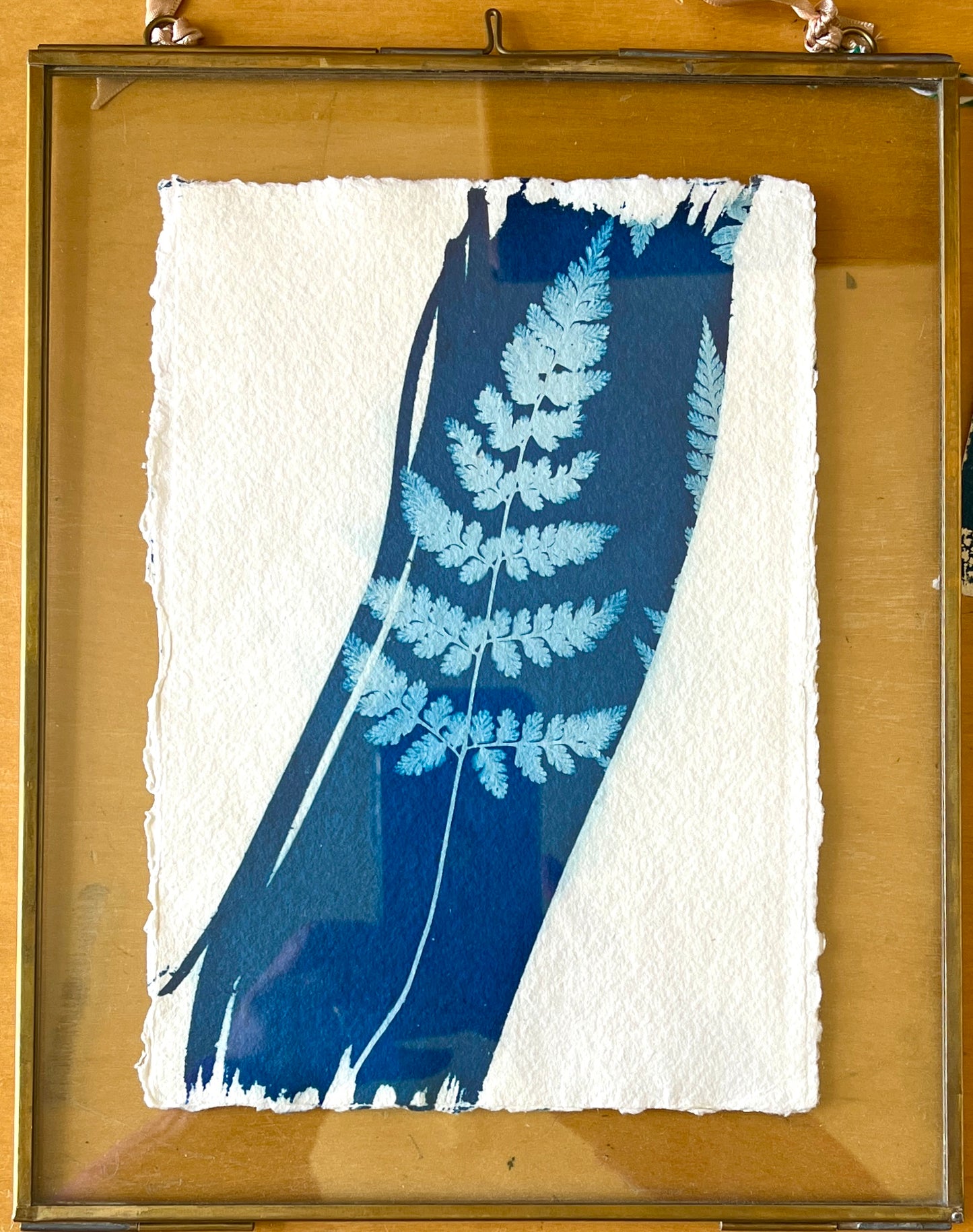 "Graphic Fern" Original Cyanotype in Brass Frame