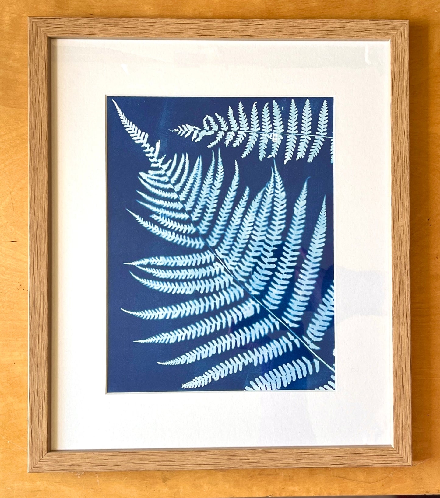 "Large Double Fern" Original Cyanotype Framed in Oak
