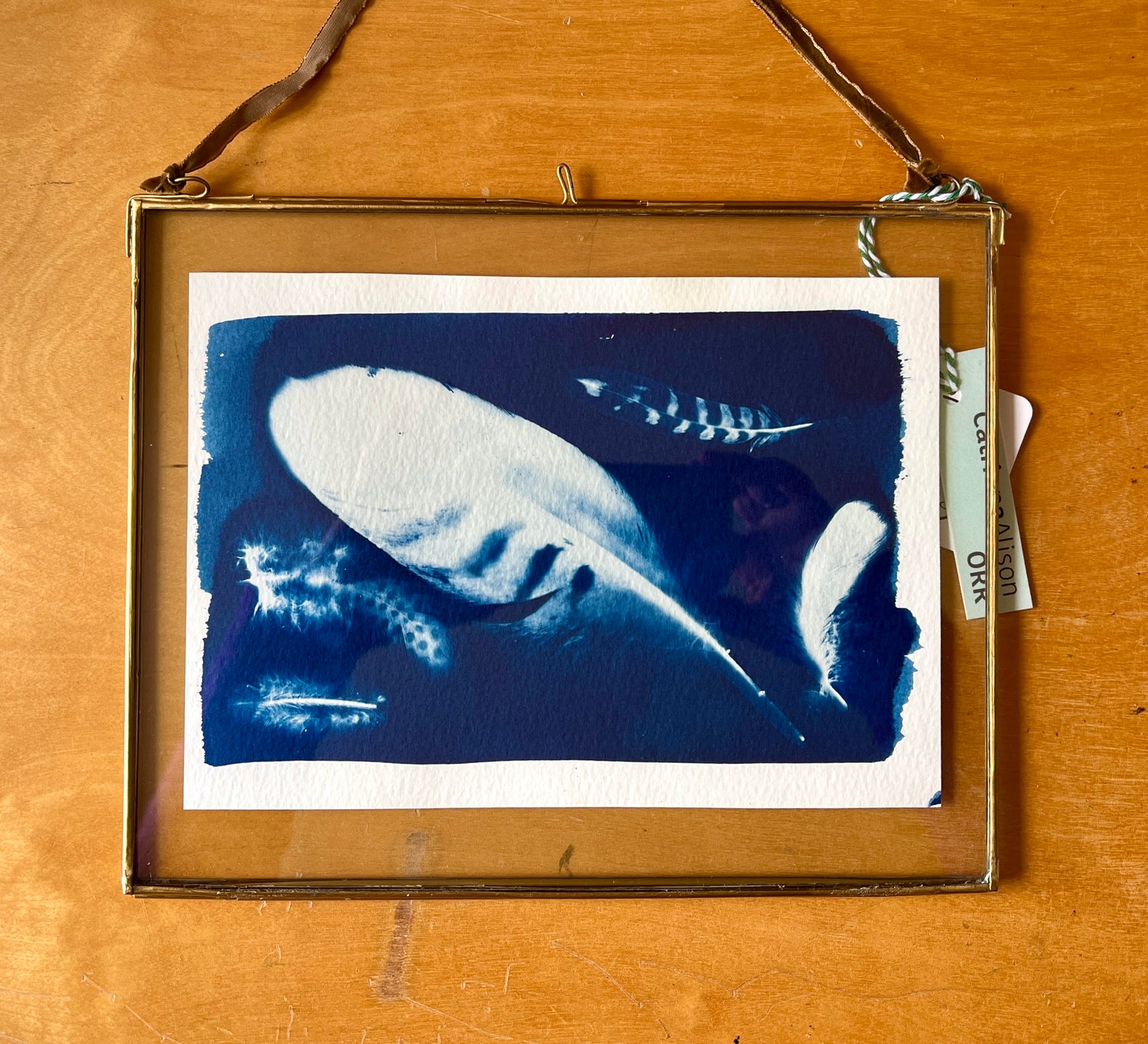 Floaing Feather original Cyanotype by Catriona Alison Orr