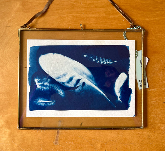 Floaing Feather original Cyanotype by Catriona Alison Orr