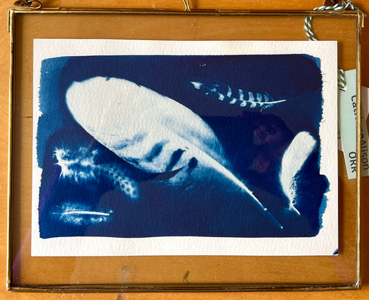 "Floating Feathers" Original Cyanotype in Brass Frame