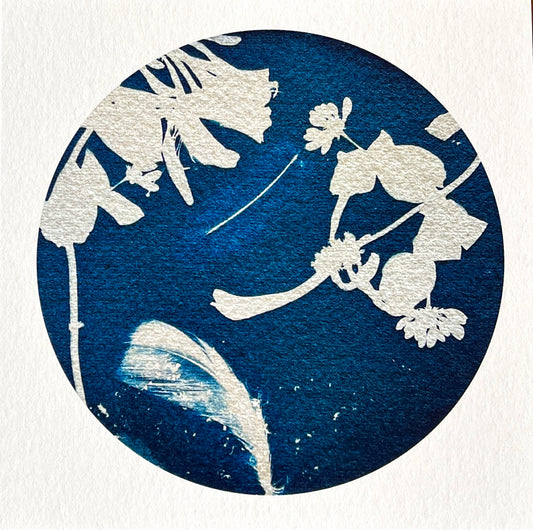 Card - Plant & Feather Roundel- Cyanotype. Catriona Orr.
