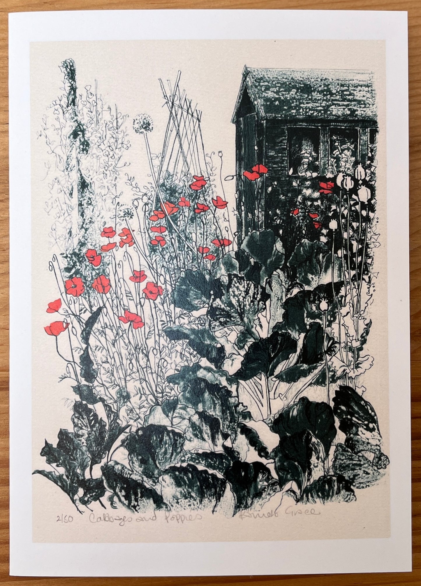 Card - Cabbages and poppies. Pamela Grace.