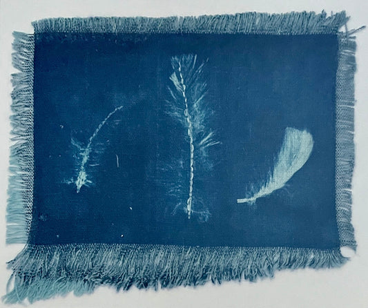 Original Cyanotype "3 Argentinian Feathers" by Catriona Alison Orr