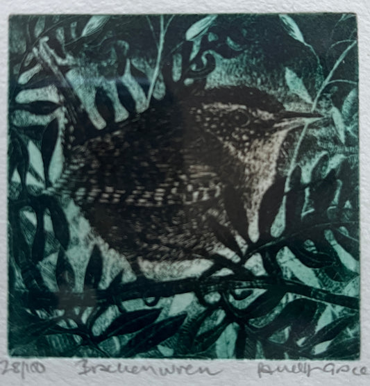 Framed print "Bracken Wren" by Pamela Grace