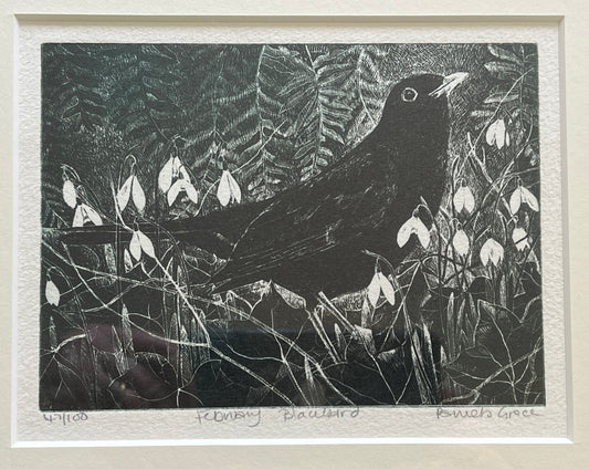 Framed print "February Blackbird" by Pamela Grace