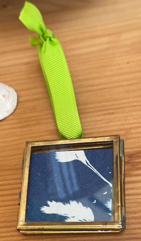 Back - Cyanotype Grasses