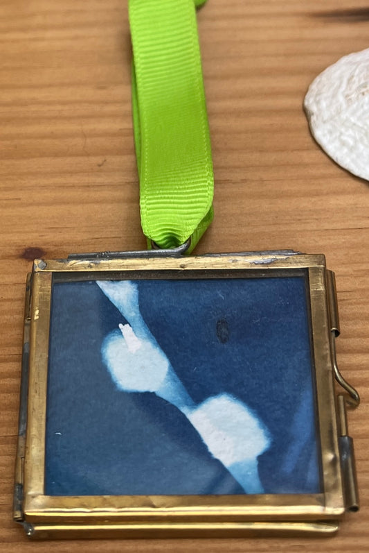 Cyanotype Pussy Willow