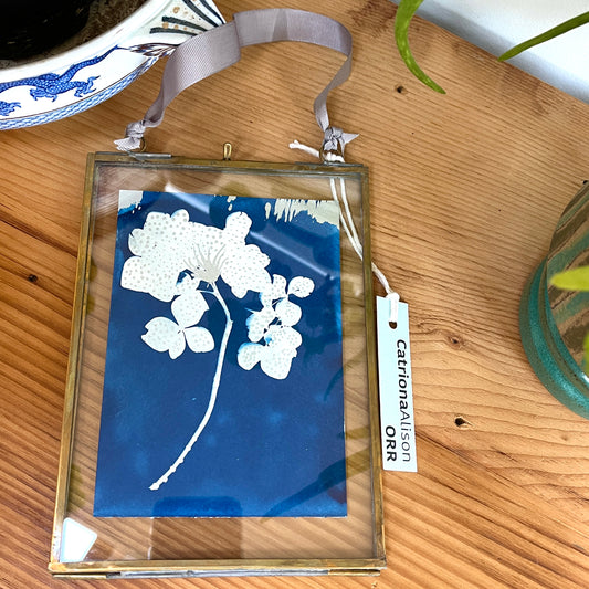 "Hydrangea" - Original Cyanotype