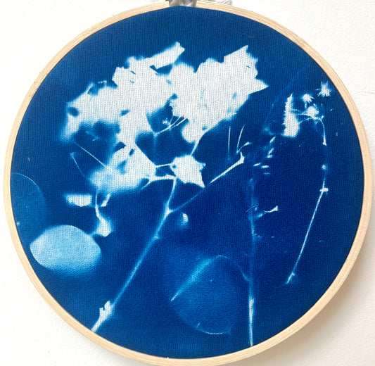 Round Frame Cyanotype (S)