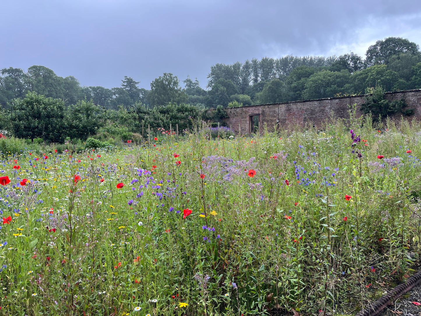 Yoga Day at Netherby Hall, Longtown, Cumbria. 6th September 2026 11am-4.30pm