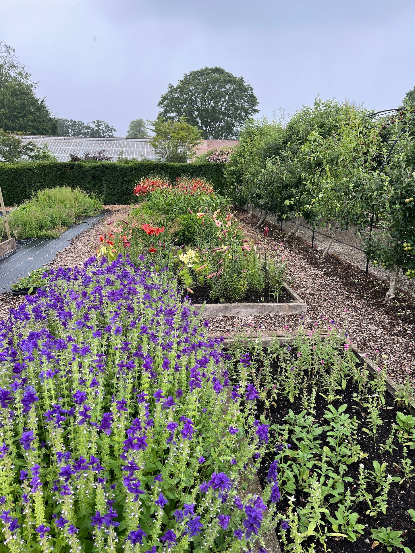 Yoga Day at Netherby Hall, Longtown, Cumbria. 6th September 2026 11am-4.30pm
