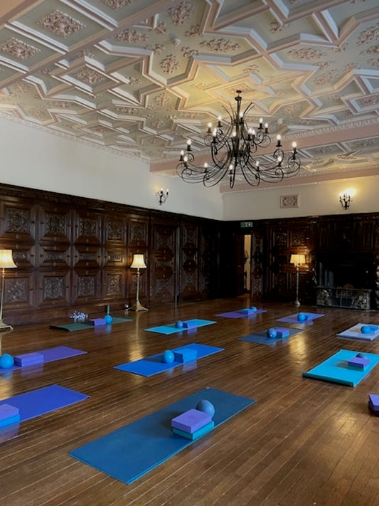 Yoga Day at Netherby Hall, Longtown, Cumbria. 30th May 2026 11am-4.30pm