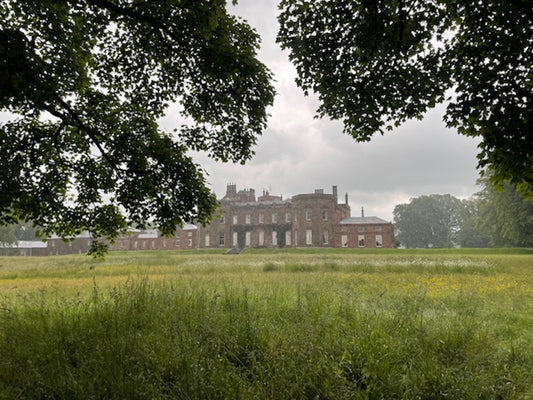 Yoga Day at Netherby Hall, Longtown, Cumbria. 6th September 2026 11am-4.30pm