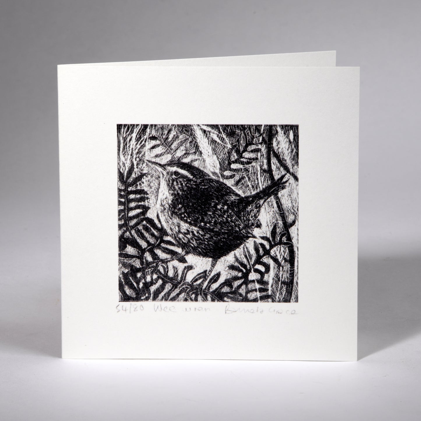 Card - Wee Wren. Pamela Grace.