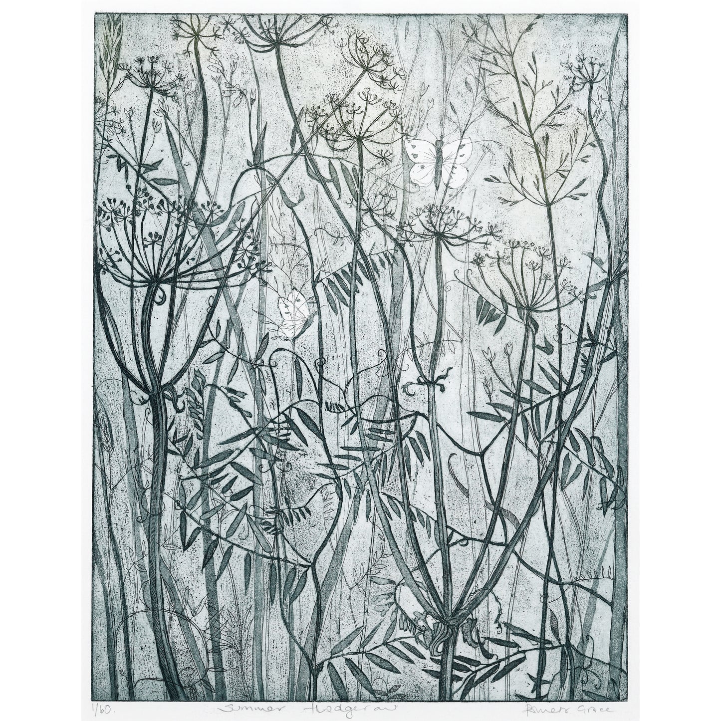 Framed print "Summer Hedgerow"