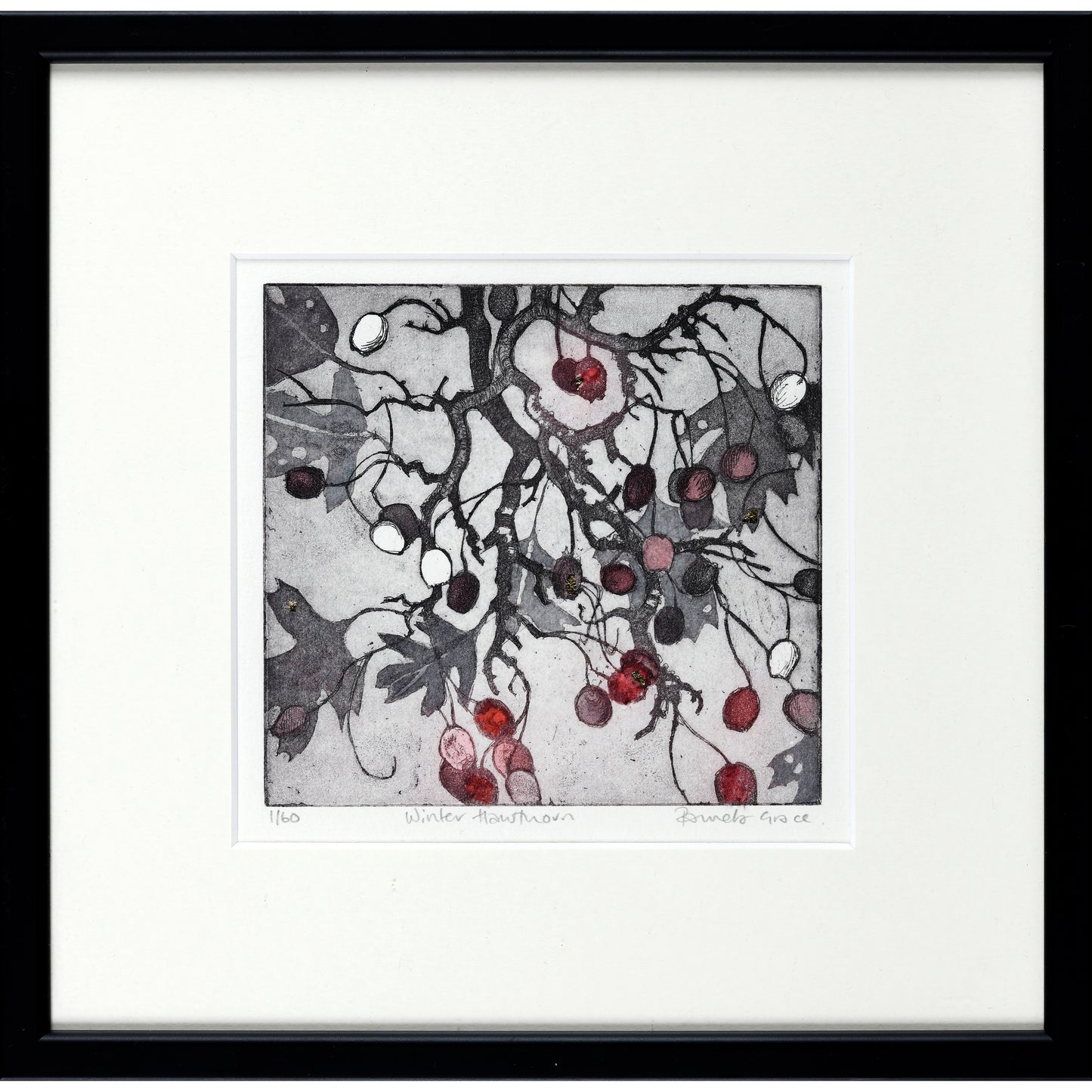 Winter Hawthorn framed print etching.