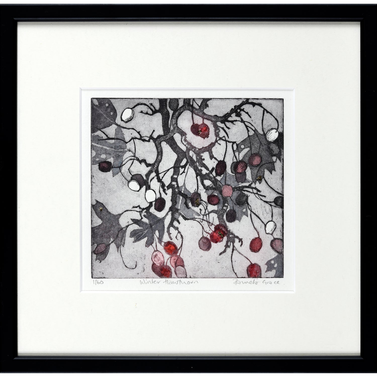 Winter Hawthorn framed print etching.