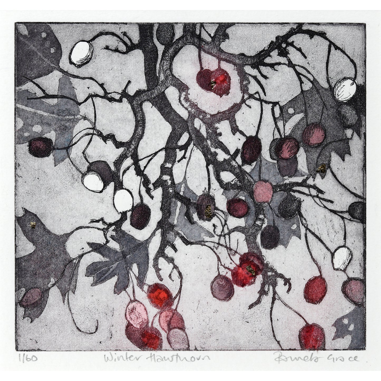 Framed print "Winter Hawthorn"