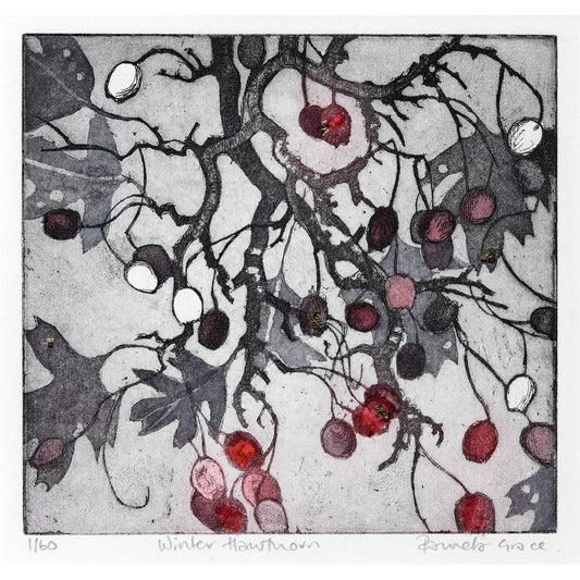 Framed print "Winter Hawthorn" by Pamela Grace