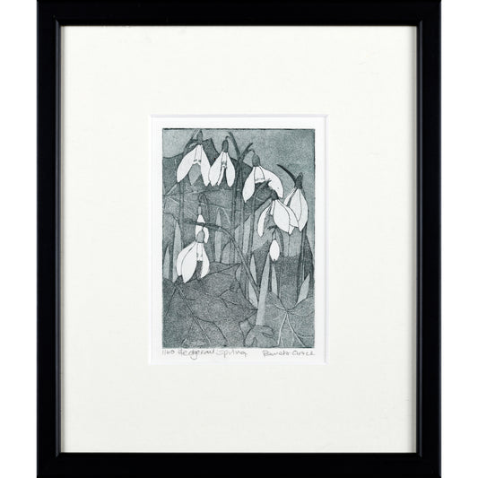 Snowdrops - Framed print etching
