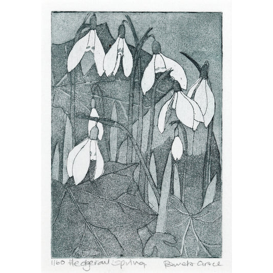 Framed print "Snowdrops"