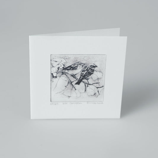 Card- Wee Speuggies. Pamela Grace